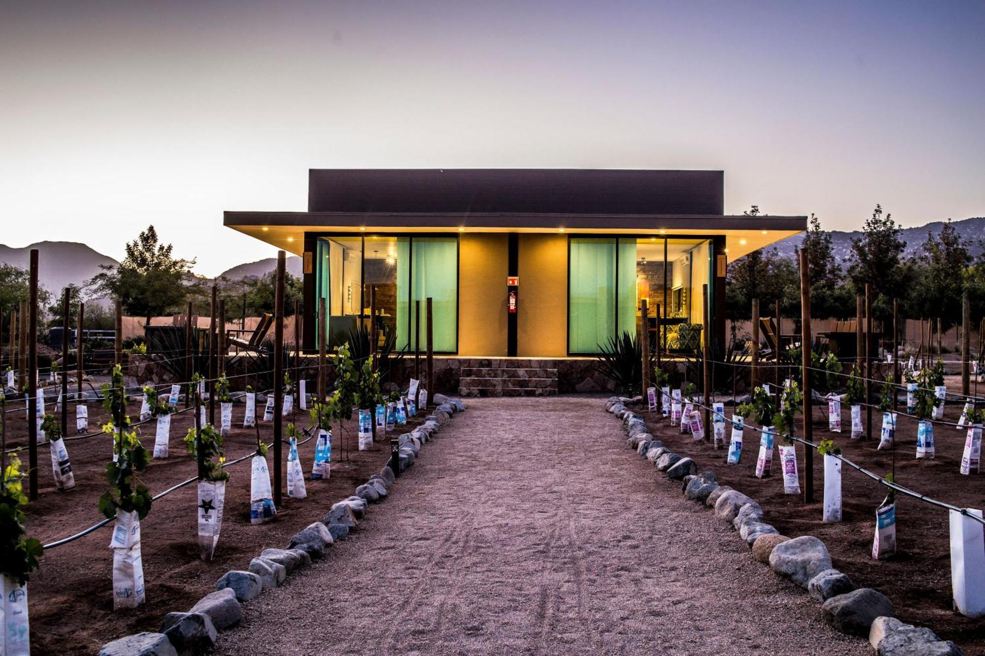 Hotel Boutique Valle De Guadalupe & Spa Стая снимка